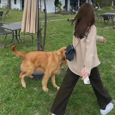 房子里的恶魔