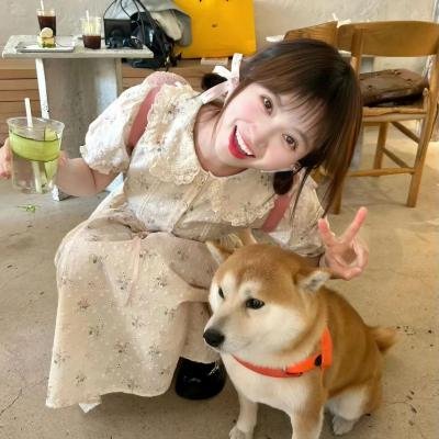 恋爱局中局